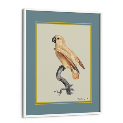 The Golden Parrot I - Teal Nook At You Matte Paper White Frame