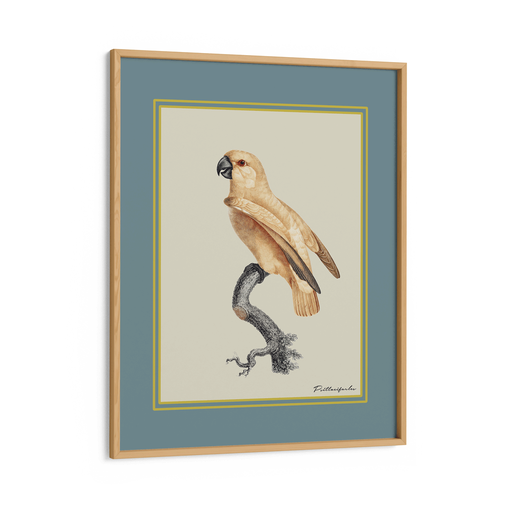 The Golden Parrot I - Teal Nook At You Matte Paper Wooden Frame