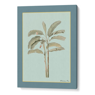 Plantain Tree I - Teal