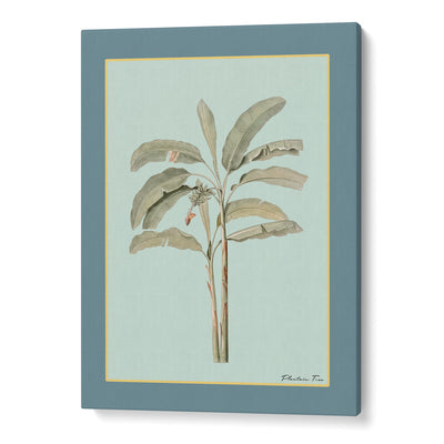 Plantain Tree I - Teal Nook At You Canvas Gallery Wrap