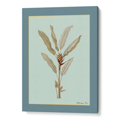 Plantain Tree II - Teal Nook At You Canvas Gallery Wrap