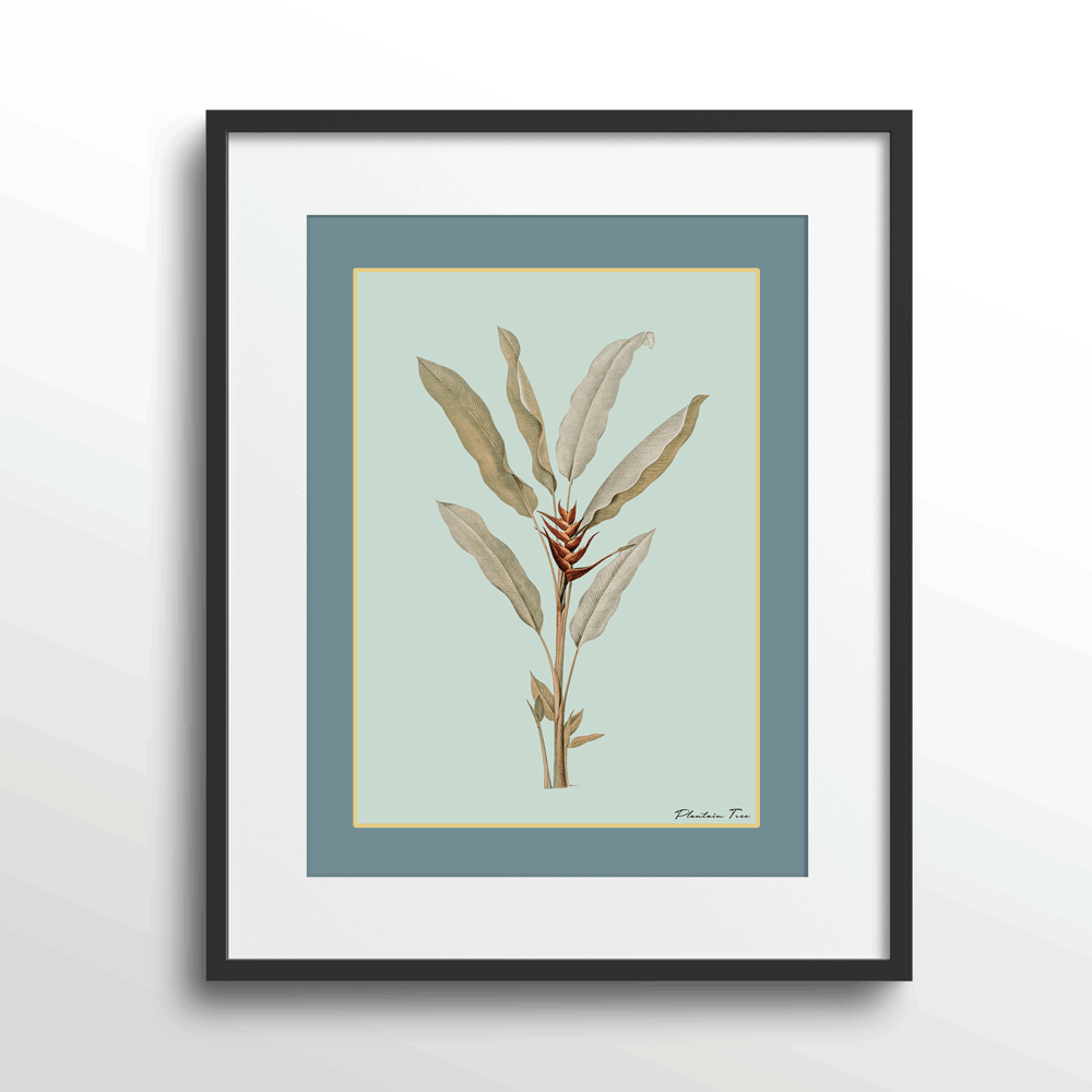 Plantain Tree II - Teal Nook At You Matte Paper Black Frame With Mount