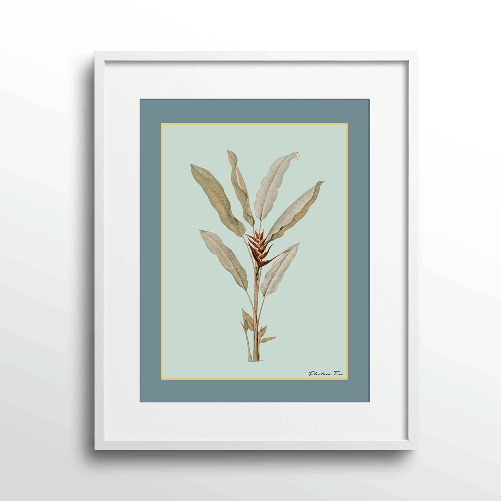 Plantain Tree II - Teal Nook At You Matte Paper White Frame With Mount