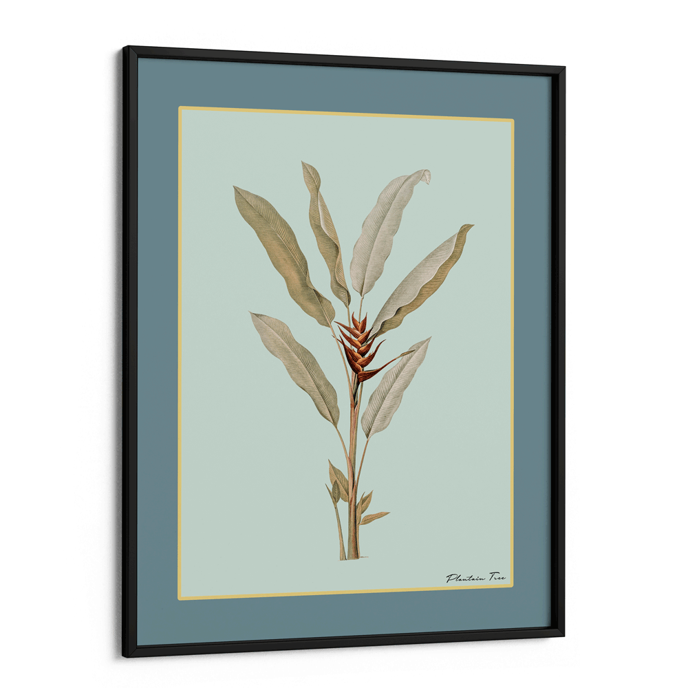 Plantain Tree II - Teal Nook At You Matte Paper Black Frame