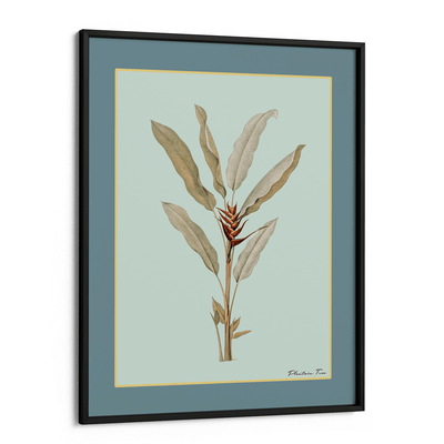 Plantain Tree II - Teal Nook At You Matte Paper Black Frame