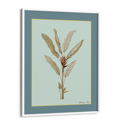 Plantain Tree II - Teal Nook At You Matte Paper White Frame