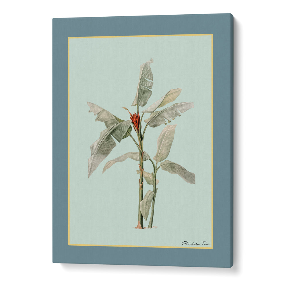 Plantain Tree III - Teal Nook At You Canvas Gallery Wrap