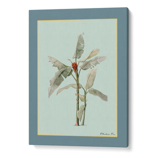 Plantain Tree III - Teal