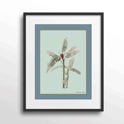 Plantain Tree III - Teal Nook At You Matte Paper Black Frame With Mount