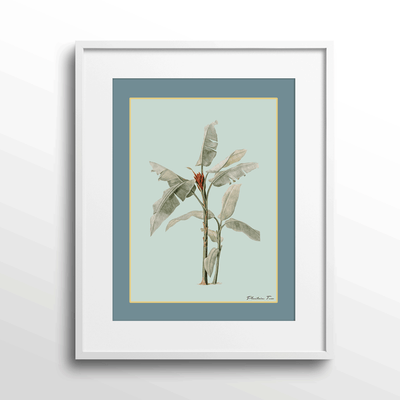 Plantain Tree III - Teal Nook At You Matte Paper White Frame With Mount