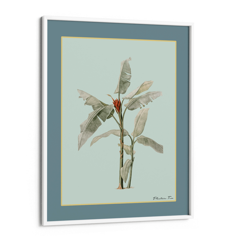Plantain Tree III - Teal Nook At You Matte Paper White Frame