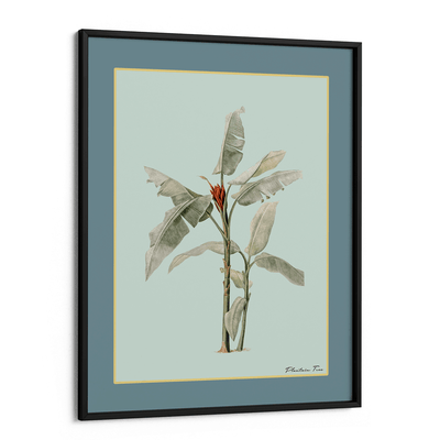 Plantain Tree III - Teal Nook At You Matte Paper Black Frame
