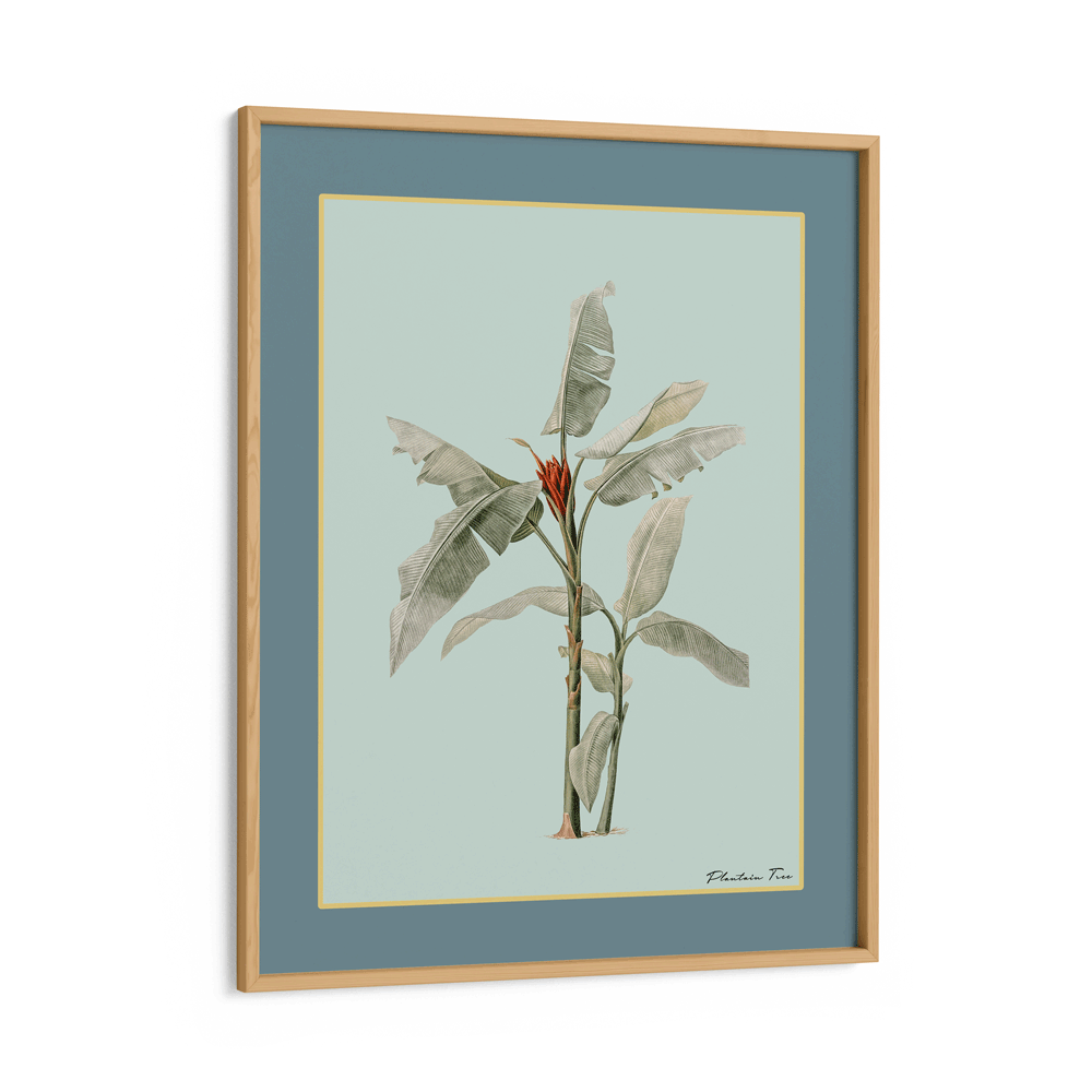 Plantain Tree III - Teal Nook At You Matte Paper Wooden Frame