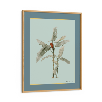 Plantain Tree III - Teal Nook At You Matte Paper Wooden Frame