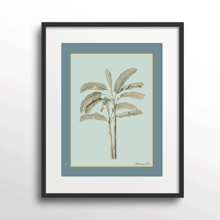 Plantain Tree I - Teal Nook At You Matte Paper Black Frame With Mount