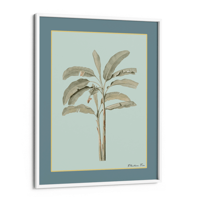 Plantain Tree I - Teal Nook At You Matte Paper White Frame