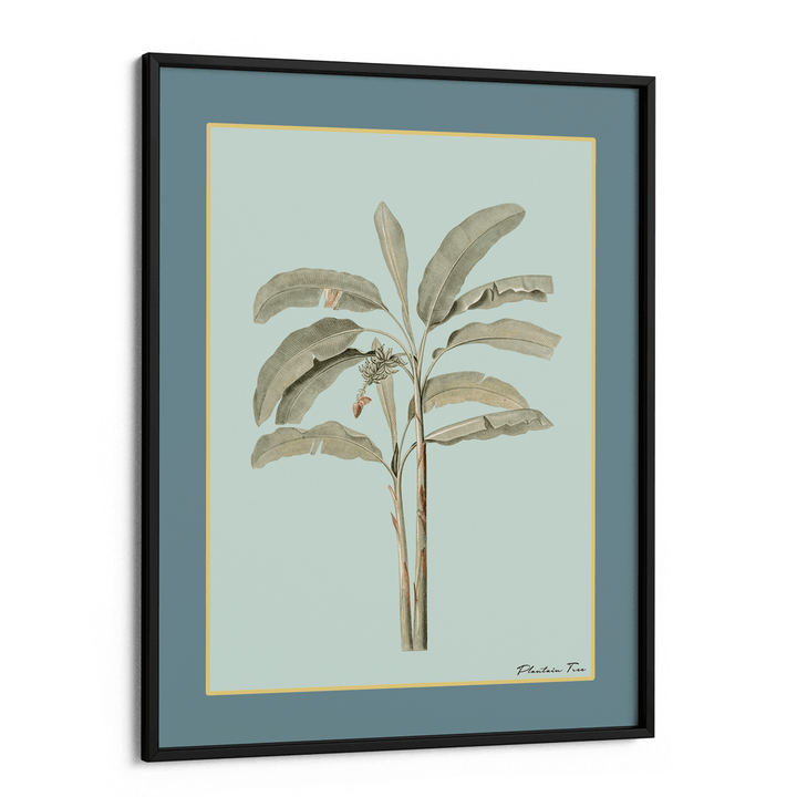 Plantain Tree I - Teal Nook At You Matte Paper Black Frame