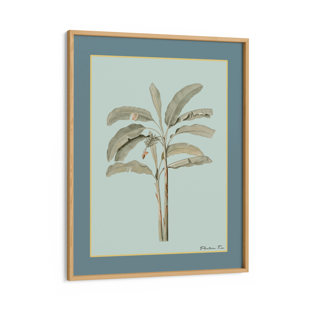 Plantain Tree I - Teal Nook At You Matte Paper Wooden Frame