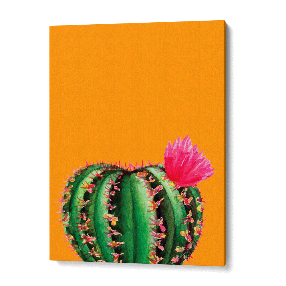 Mustard Succulent Nook At You Canvas Gallery Wrap