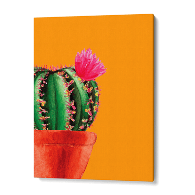 Burnt Orange Succulent Nook At You Canvas Gallery Wrap