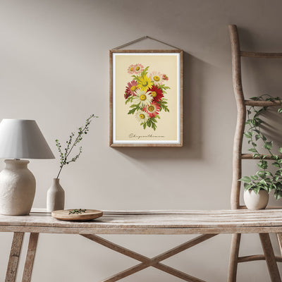 Chrysanthemum - Lemon Nook At You  