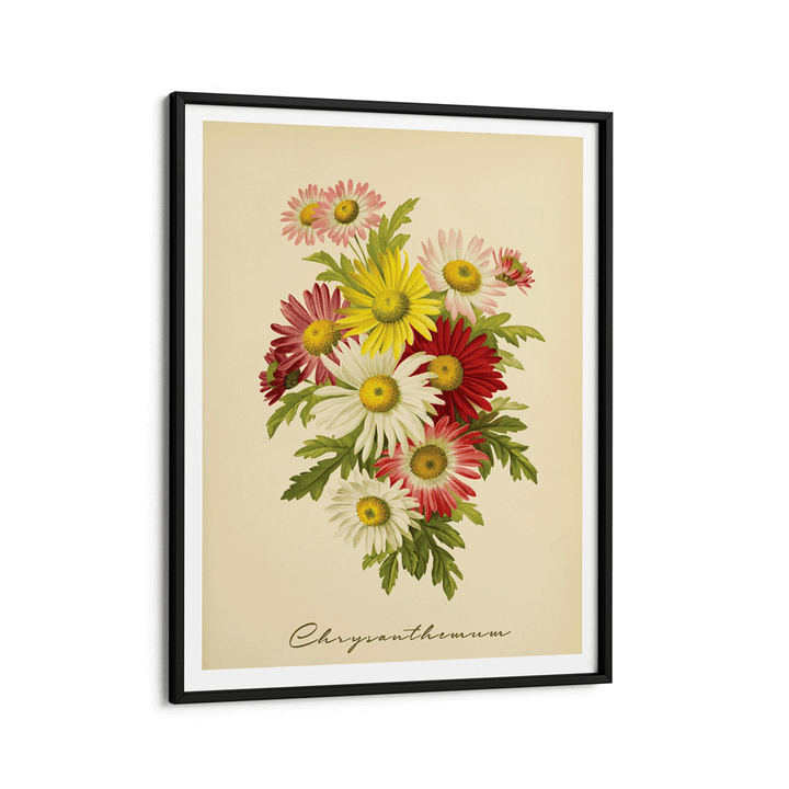 Chrysanthemum - Lemon Nook At You Matte Paper Black Frame