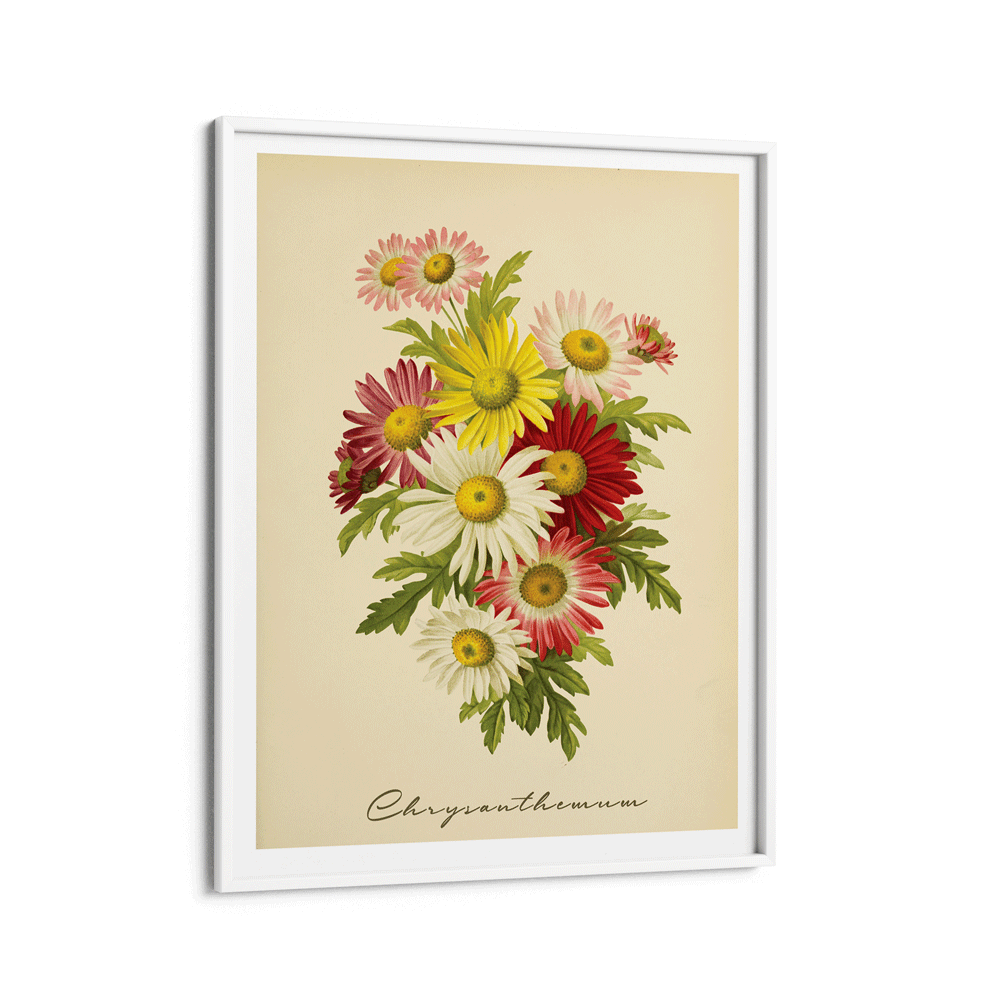 Chrysanthemum - Lemon Nook At You Matte Paper White Frame