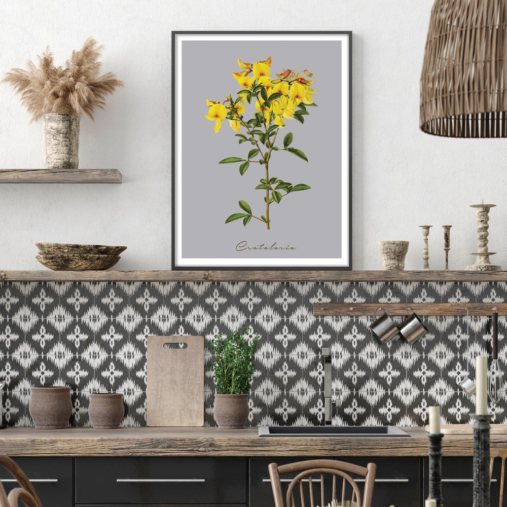 Crotalaria Juncea Nook At You  