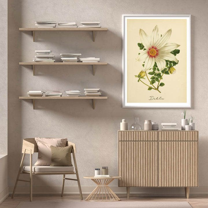 Dahlia - Amber Nook At You  