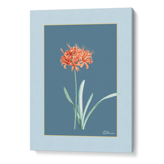 Ruby Blossom - Wild Blue