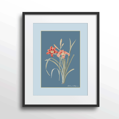 Lily Dreams - Wild Blue Nook At You Matte Paper Black Frame With Mount