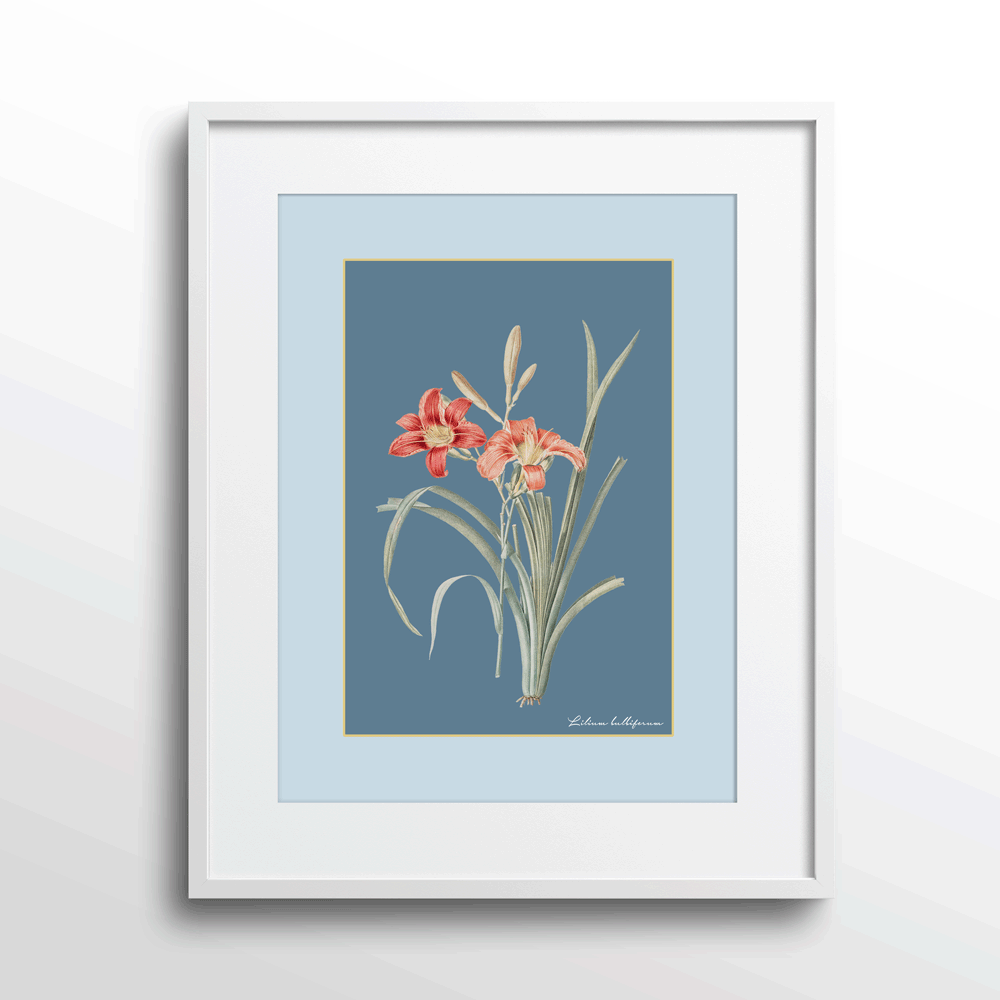 Lily Dreams - Wild Blue Nook At You Matte Paper White Frame With Mount