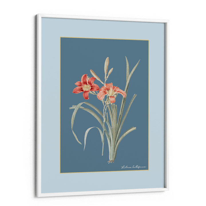 Lily Dreams - Wild Blue Nook At You Matte Paper White Frame