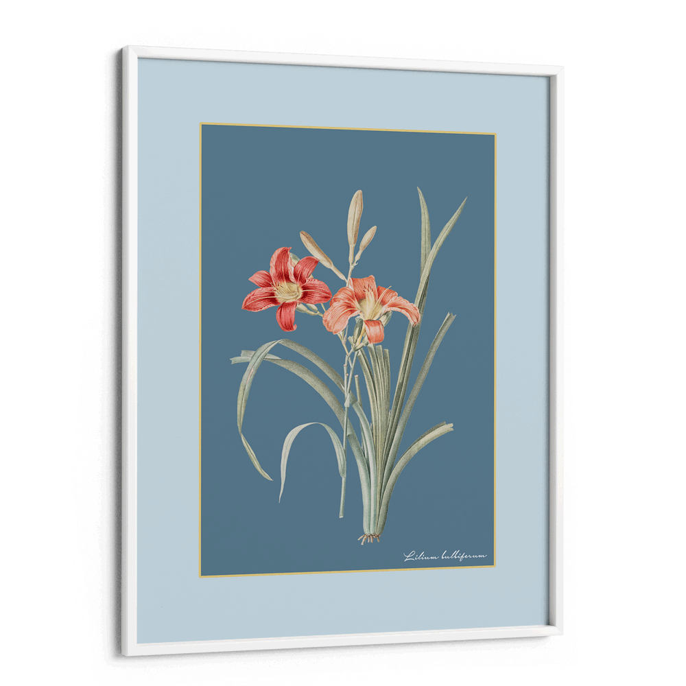 Lily Dreams - Wild Blue Nook At You Matte Paper White Frame