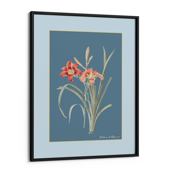 Lily Dreams - Wild Blue Nook At You Matte Paper Black Frame