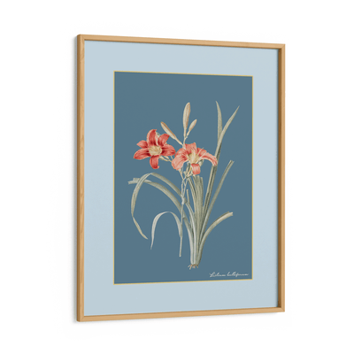 Lily Dreams - Wild Blue Nook At You Matte Paper Wooden Frame