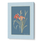 Lily Dreams - Wild Blue