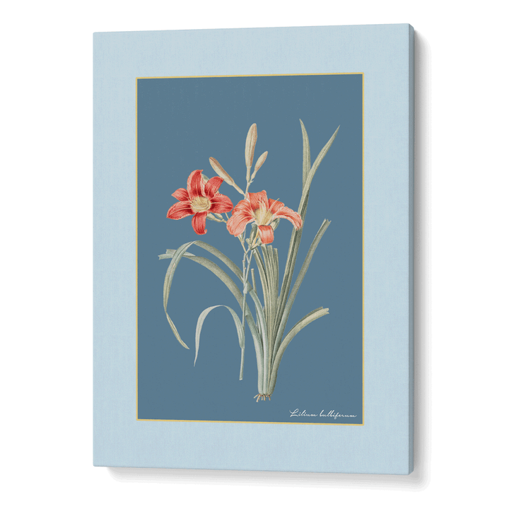 Lily Dreams - Wild Blue Nook At You Canvas Gallery Wrap