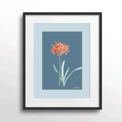 Ruby Blossom - Wild Blue Nook At You Matte Paper Black Frame With Mount