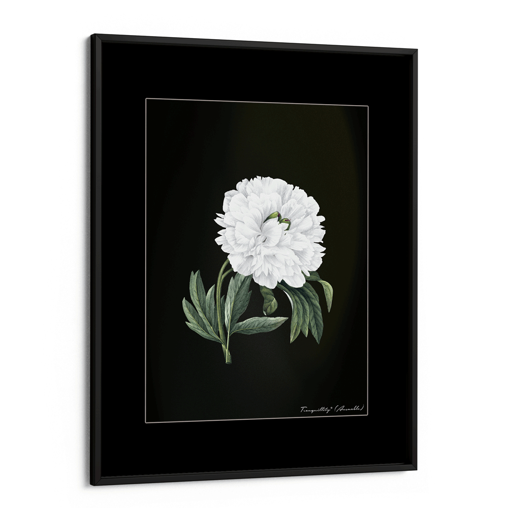 Obsidian Bloom 1 Nook At You Matte Paper Black Frame