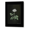Obsidian Bloom 2