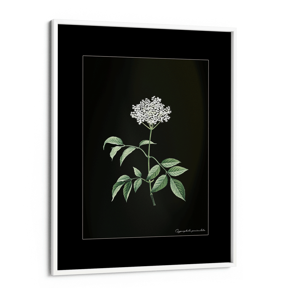 Obsidian Bloom 2 Nook At You Matte Paper White Frame