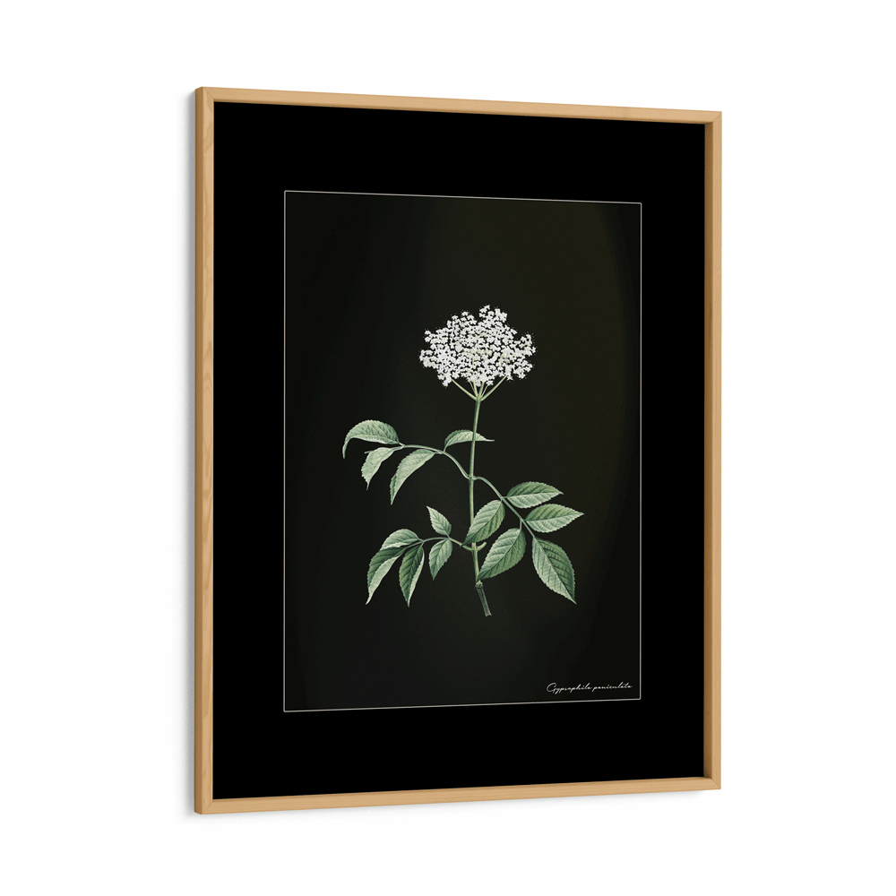 Obsidian Bloom 2 Nook At You Matte Paper Wooden Frame