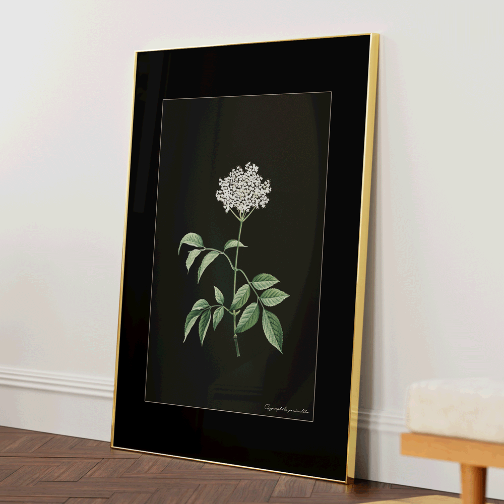 Obsidian Bloom 2 Nook At You Matte Paper Gold Metal Frame