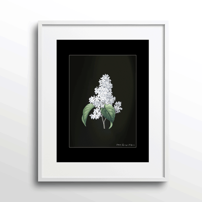 Obsidian Bloom 3 Nook At You Matte Paper White Frame With Mount
