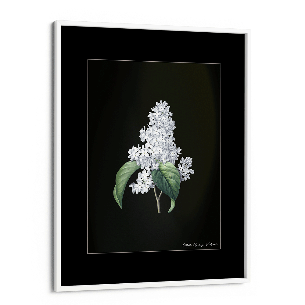 Obsidian Bloom 3 Nook At You Matte Paper White Frame