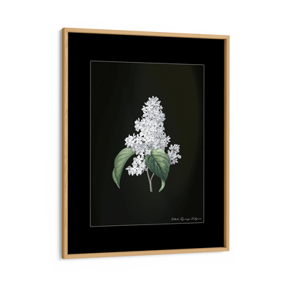 Obsidian Bloom 3 Nook At You Matte Paper Wooden Frame