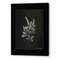 Obsidian Bloom 4