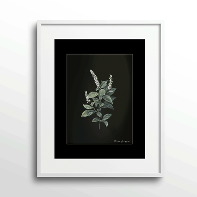 Obsidian Bloom 4 Nook At You Matte Paper White Frame With Mount