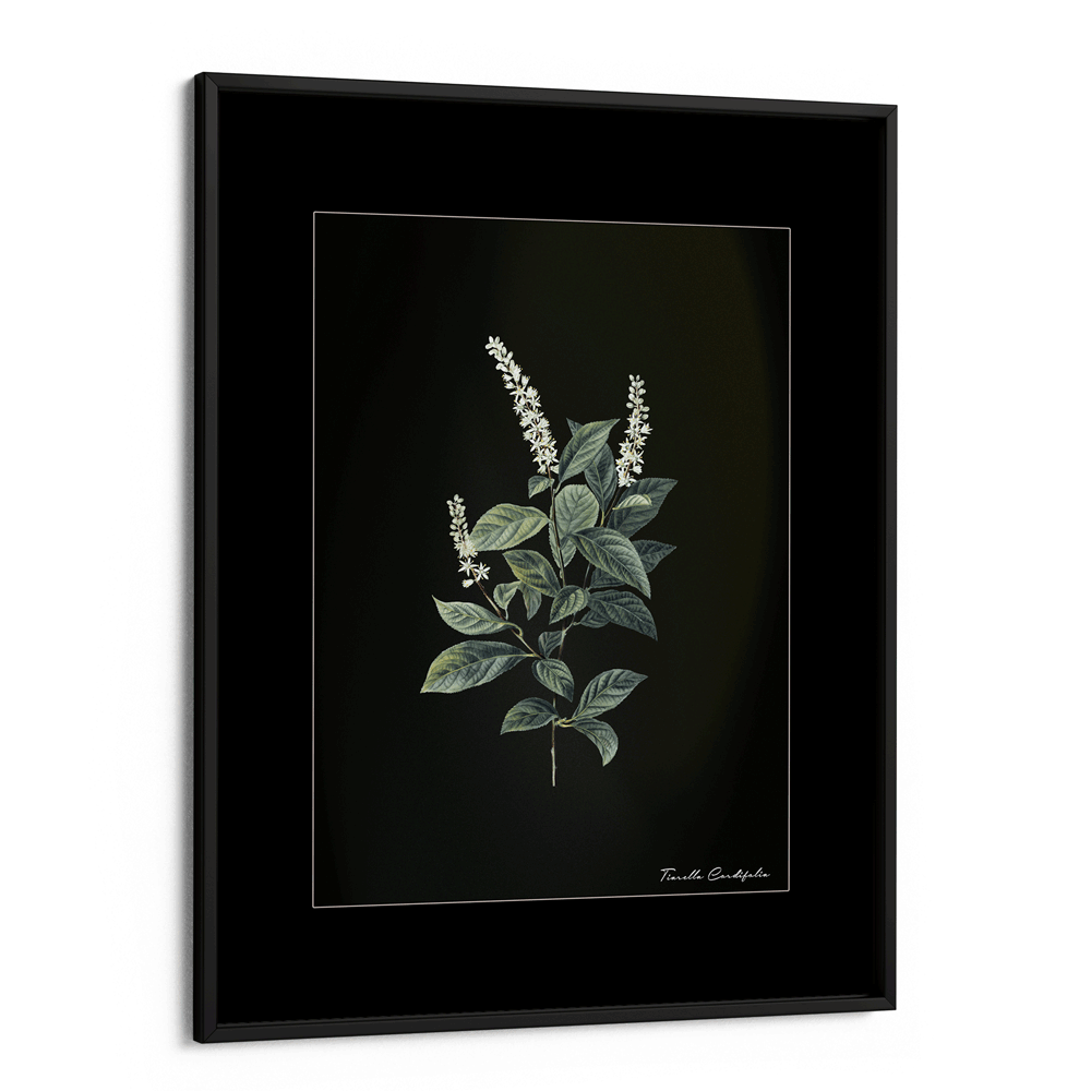Obsidian Bloom 4 Nook At You Matte Paper Black Frame